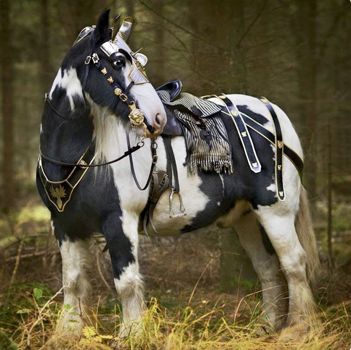 ФОТО: Богатырский конь 1