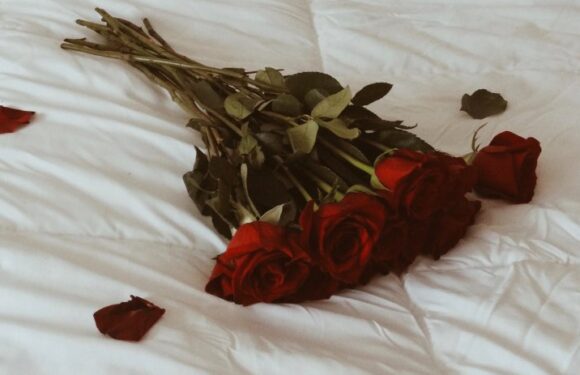 Букеты роз, лежащие на кровати (69 фото)