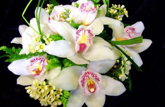 Букеты с белой орхидеей (75 фото)