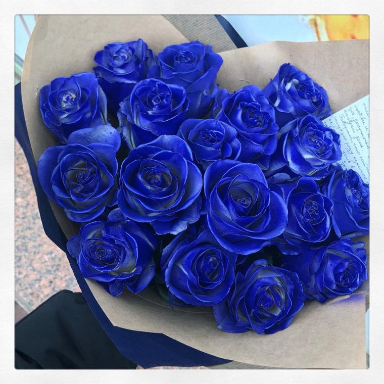 1000 Синих роз