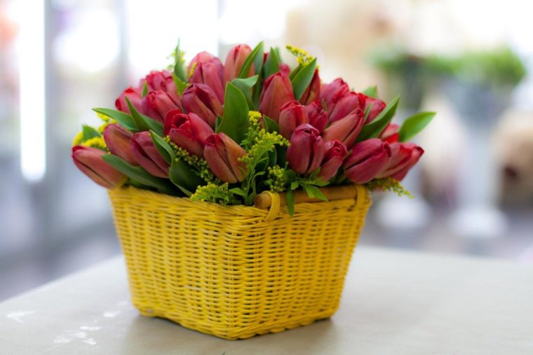 Шикарные тюльпаны в корзине