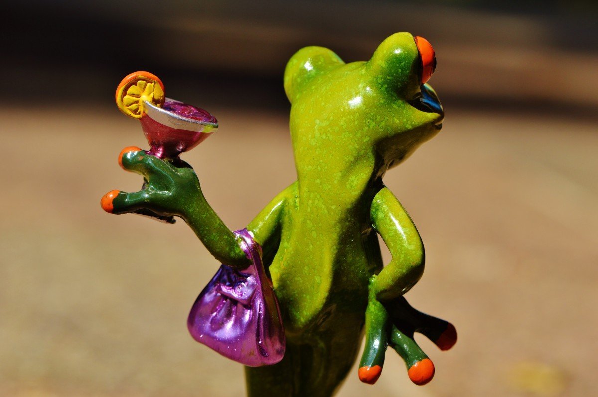 ФОТО: Танцующая лягушка 3