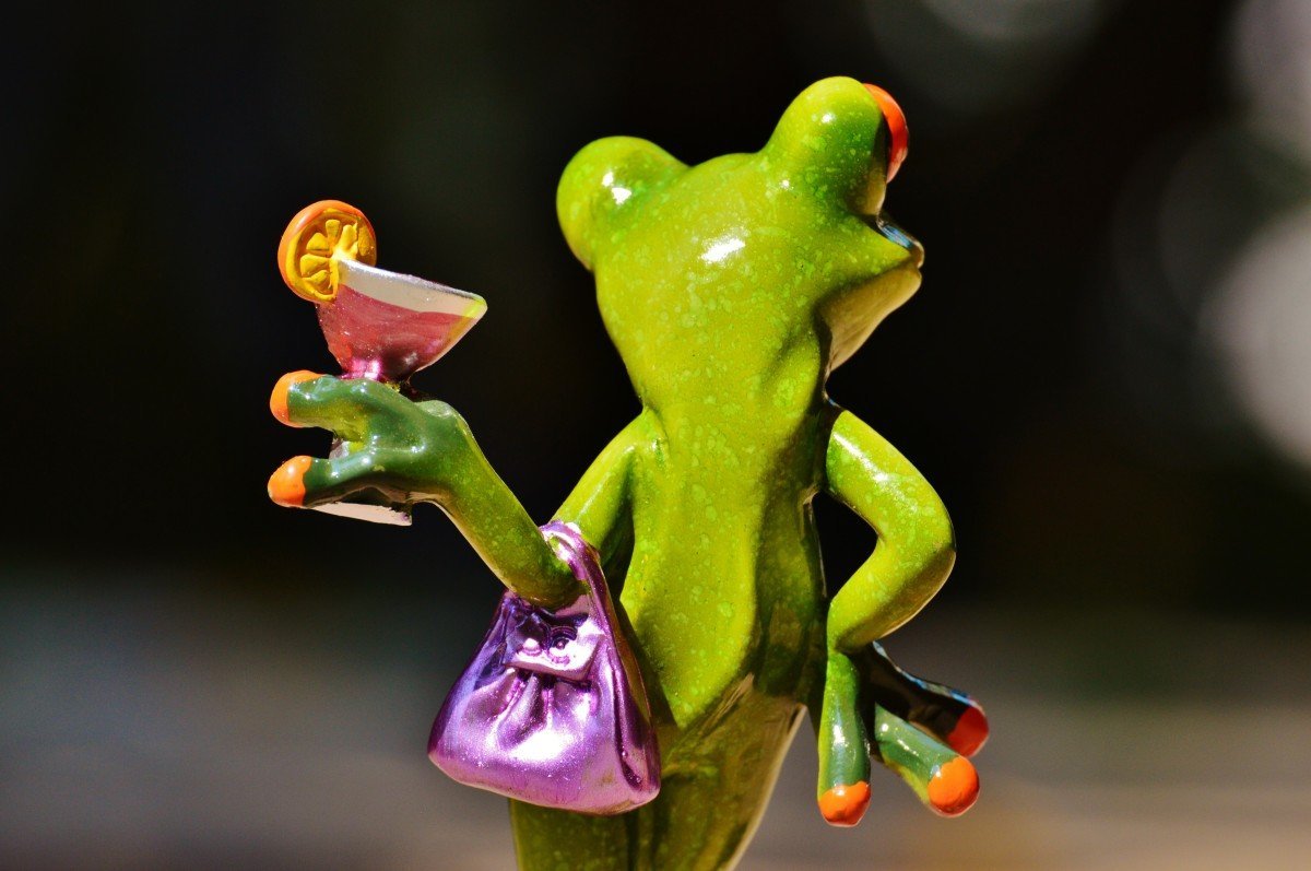 ФОТО: Танцующая лягушка 1