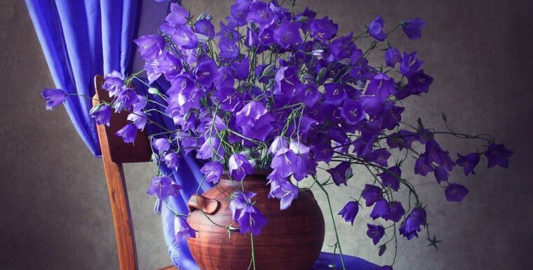 Букет из колокольчиков — очаровательные цветы (73 фото)