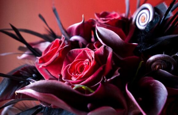 Букет цветов в черных и красных тонах (66 фото)