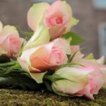 Ніжні троянди - фото букетів та картинки (70 шт) 24 MARUV