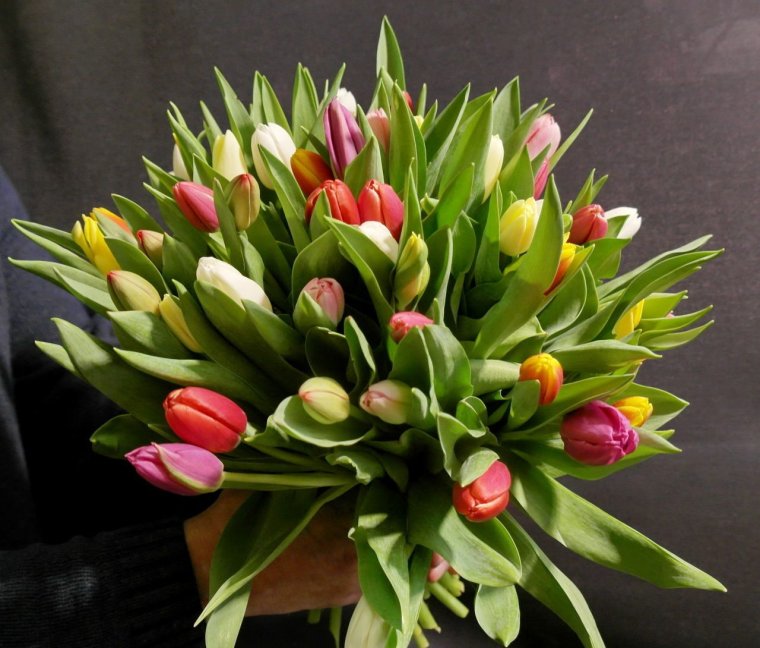 21 Tulips