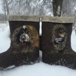 ФОТО: Собака в валенках 4 открытки