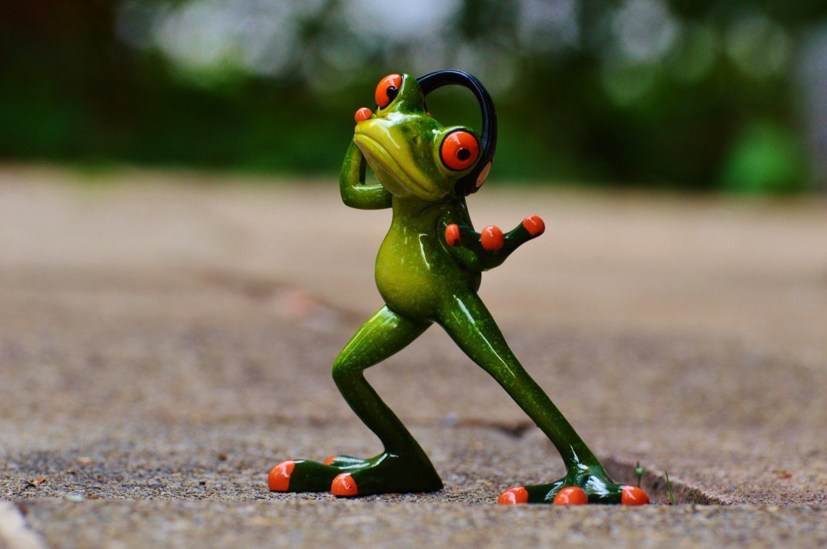 ФОТО: Танцующая лягушка 6