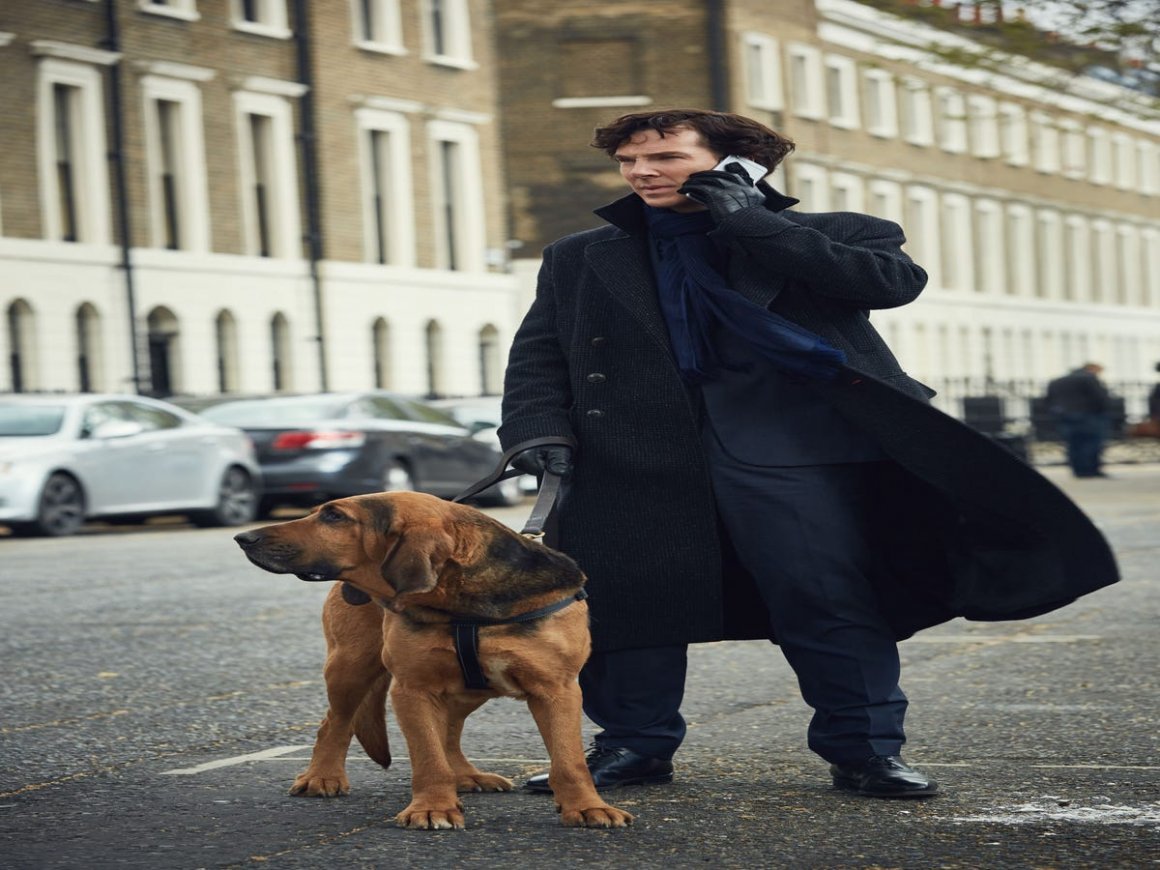 ФОТО: Собака Шерлока Холмса 2