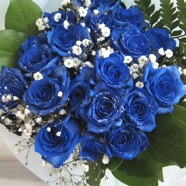 Синие живые цветы