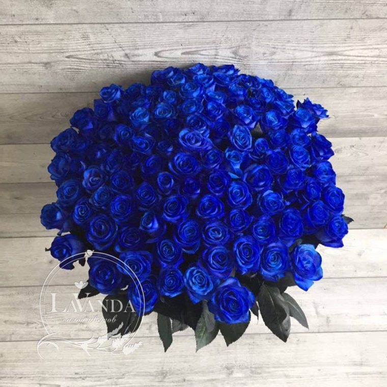 Букет 101 роза голубые