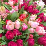 Живые тюльпаны в букетах (59 фото) 7