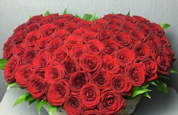 Огромные букеты из красных роз — подборка (72 фото)