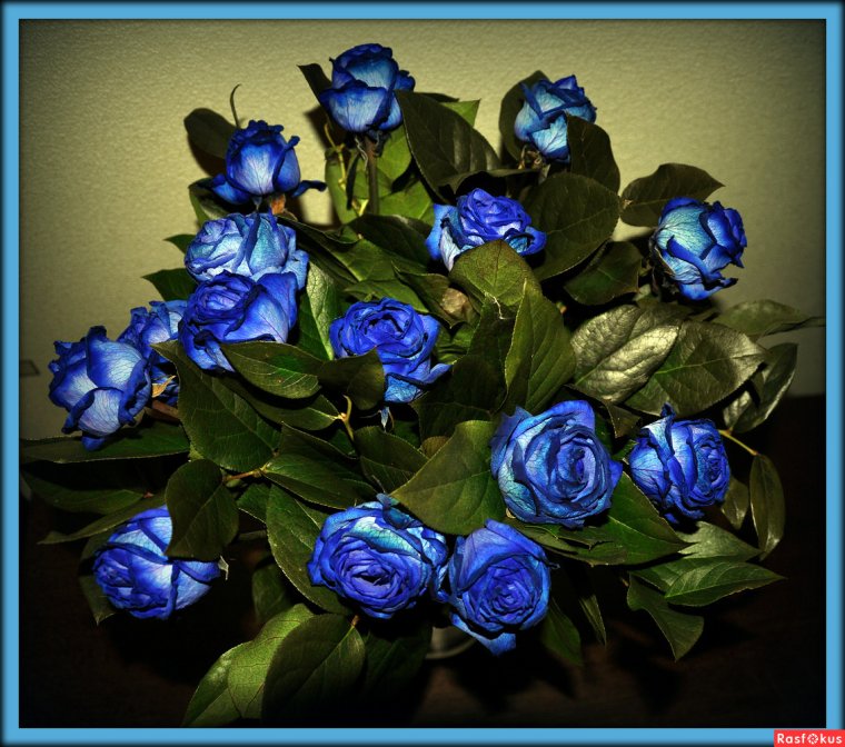 Букетик из голубых роз натуральный