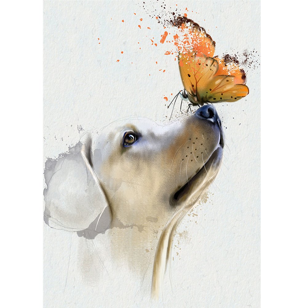 Собака с бабочкой на носу (ФОТО) 9