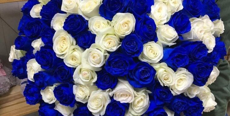 Синие розы — шикарные букеты на 70 фото