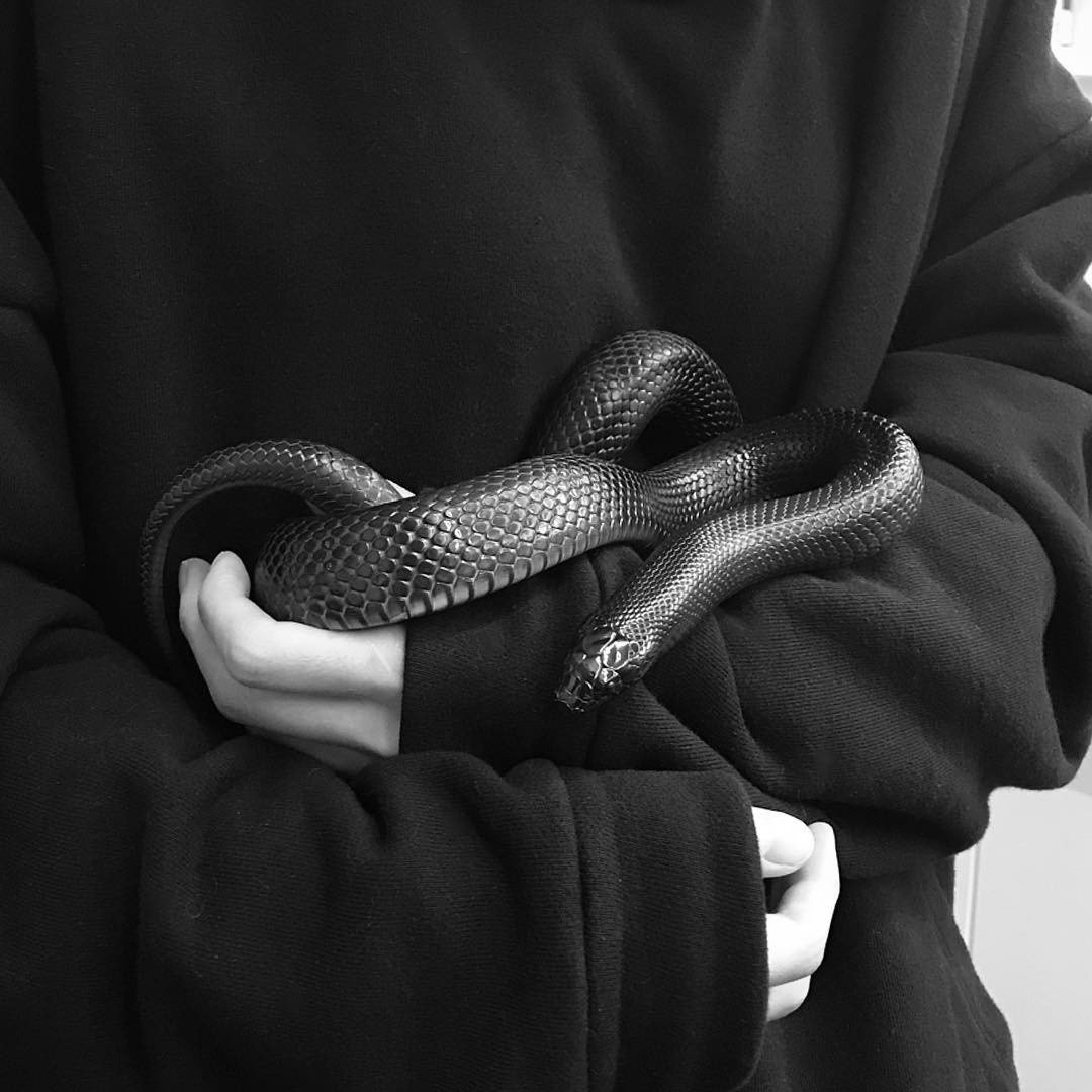 ФОТО: Змея на руке 6