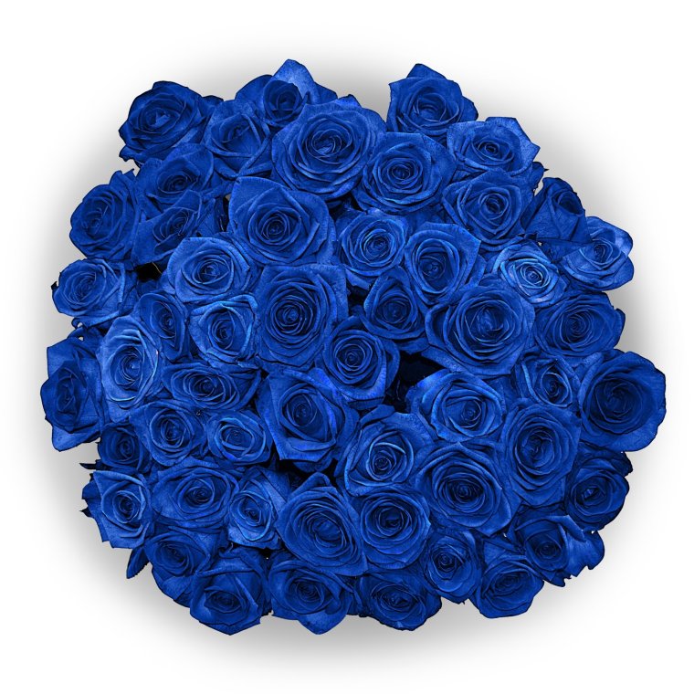 Темно синие розы букет