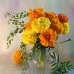 Бархатцы - оригинальный букет цветов (70 фото) 27
