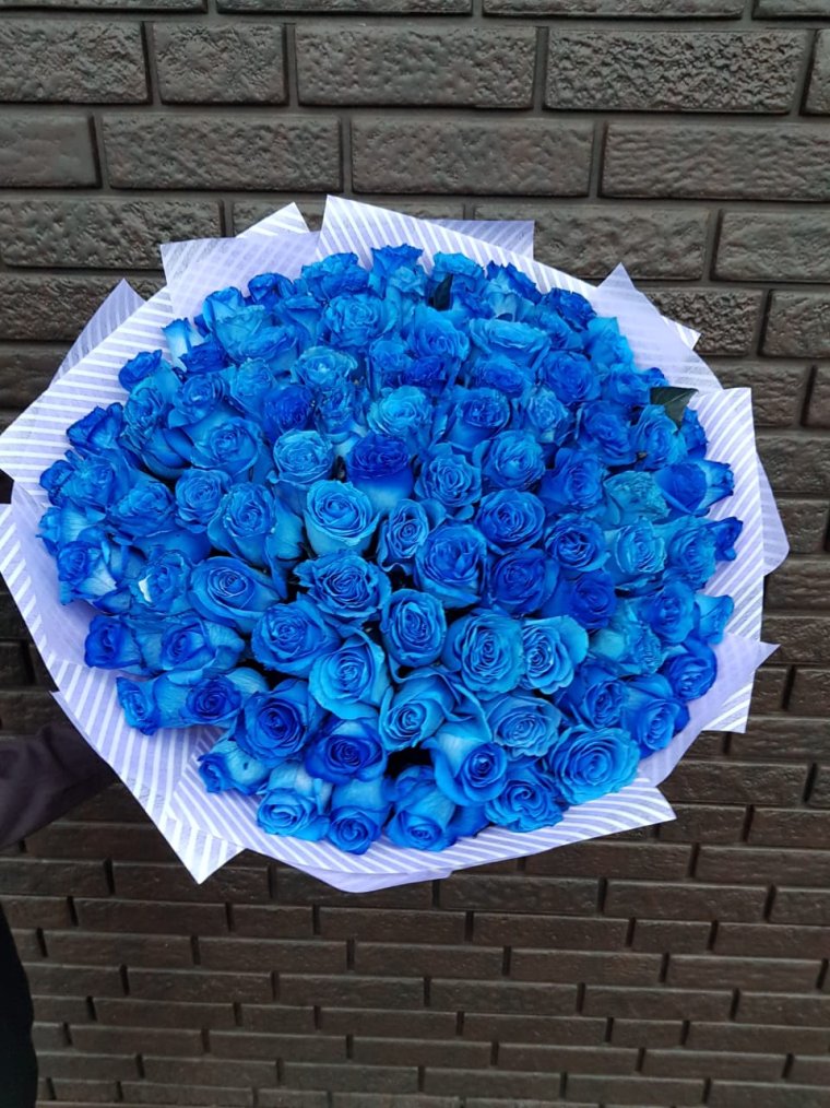 101 Синяя роза