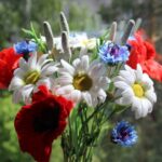 Приятные и милые букеты полевых цветов (74 фото) 64