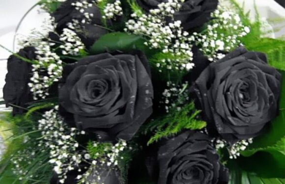Букет из черных роз — очень красиво (69 фото)