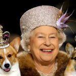 ФОТО: Собака королевы англии 17