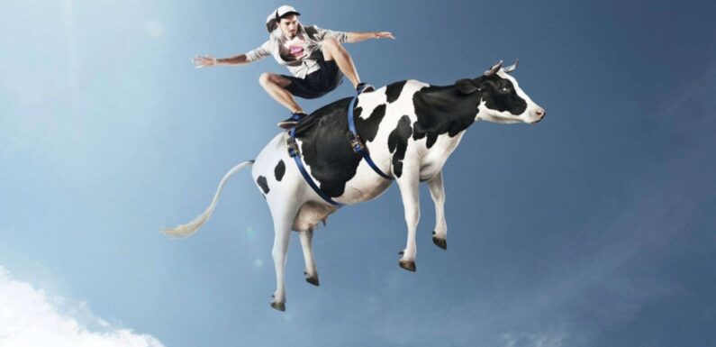 ФОТО: Танцующая корова