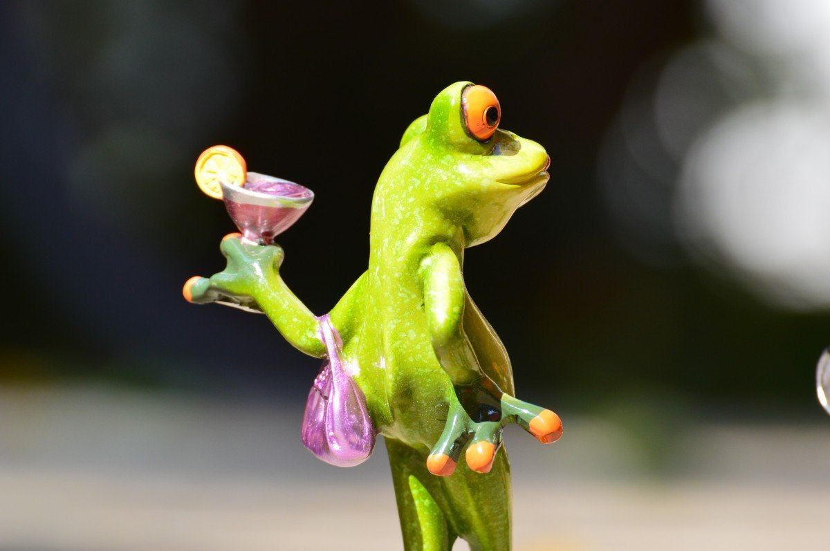 ФОТО: Танцующая лягушка 5