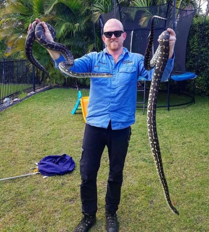 Змееловы в Австралии - обычная профессия 1