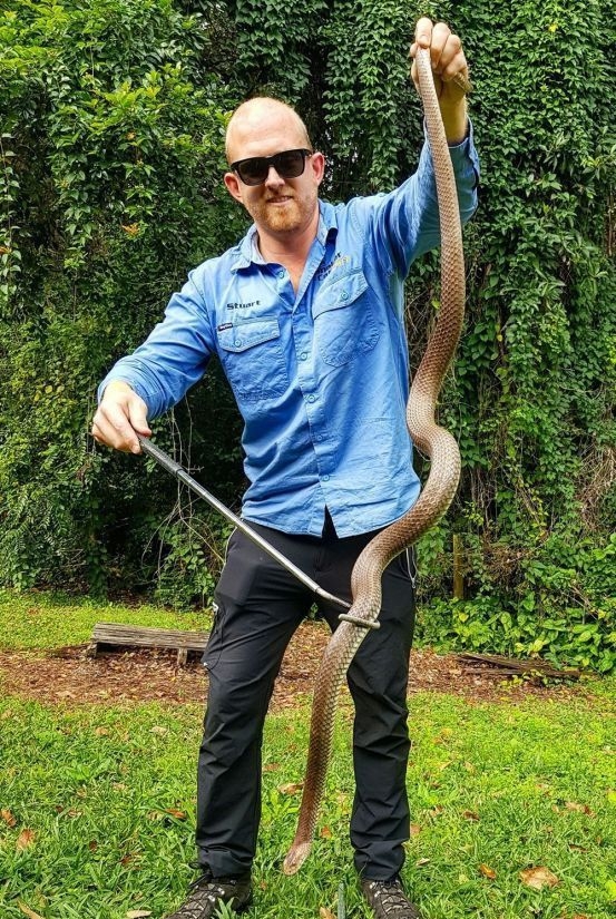 Змееловы в Австралии - обычная профессия 6