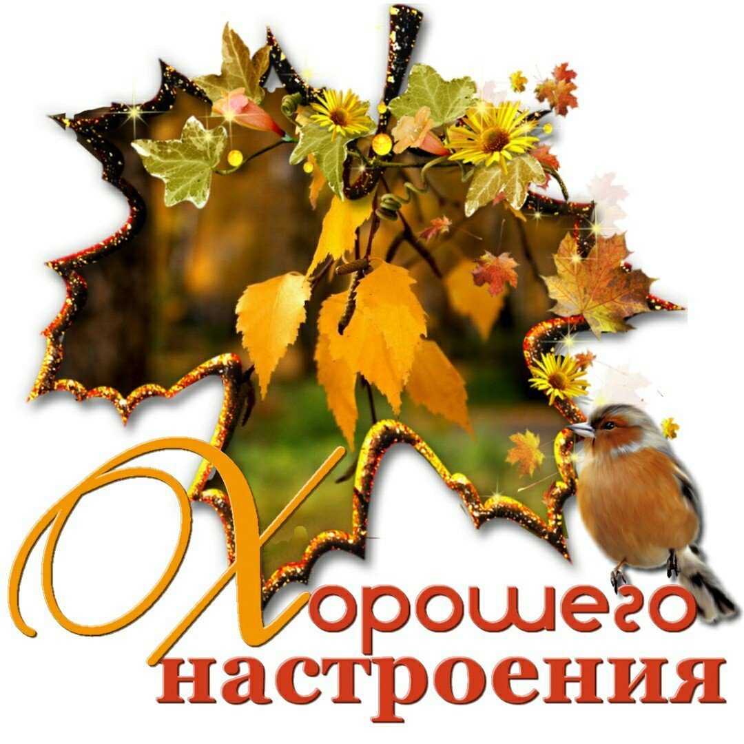 Хорошего осеннего дня - красивые открытки 18 открытки
