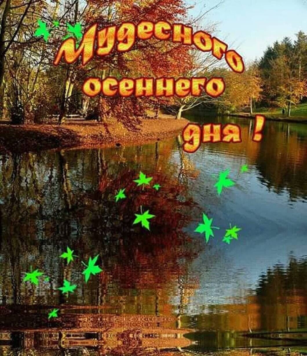 Хорошего осеннего дня - красивые открытки 4 открытки