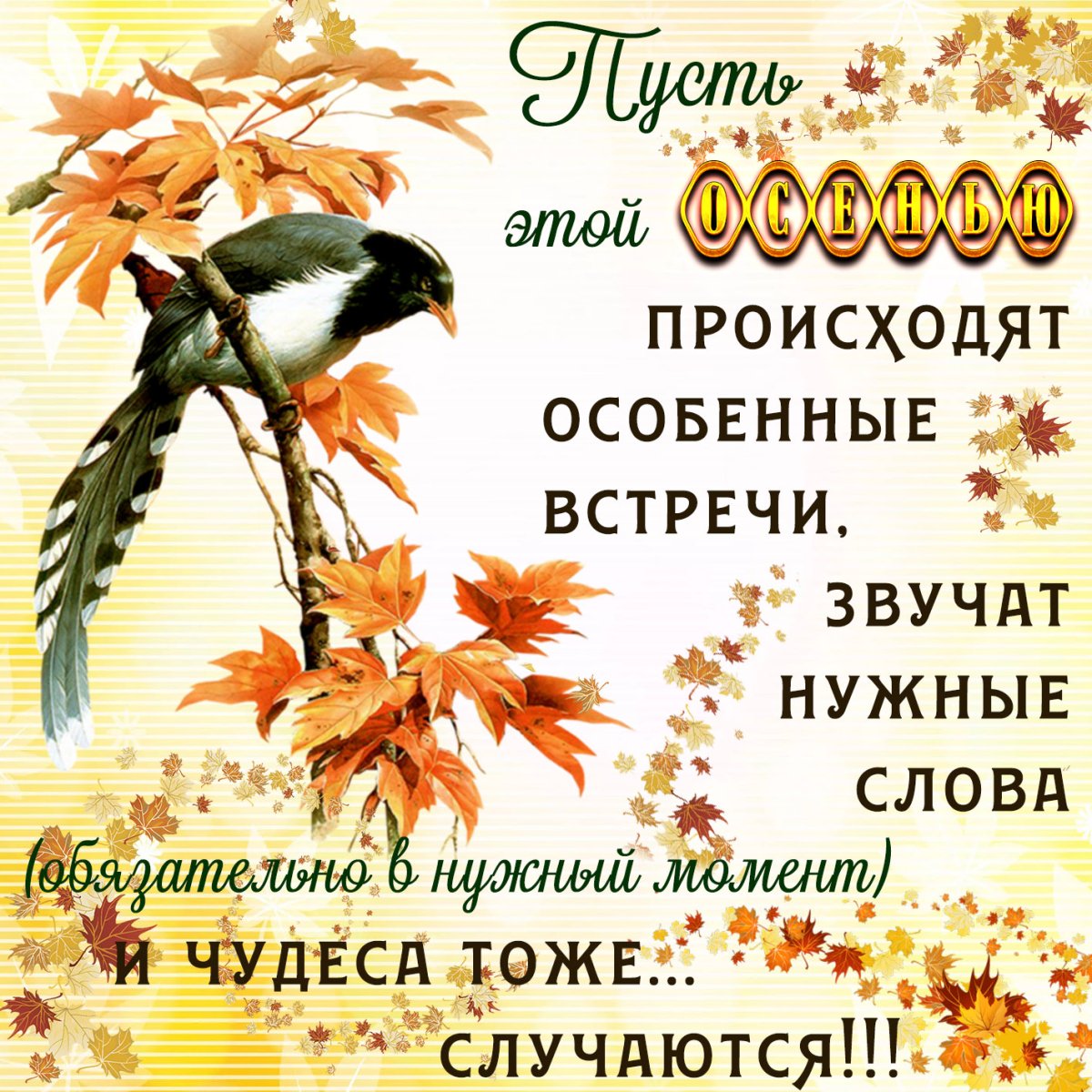 Открытки осеннего настроения - яркая подборка 12