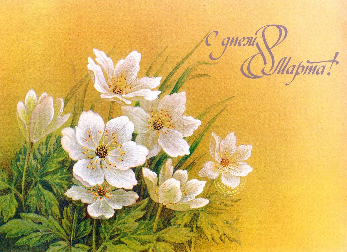 Поздравления с 8 марта 20 открытки