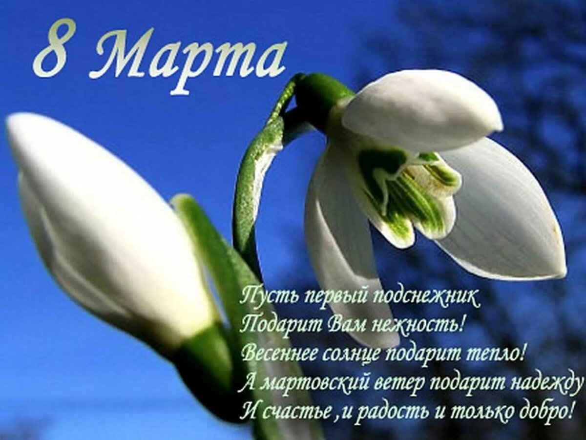 Поздравления с 8 марта 14 открытки