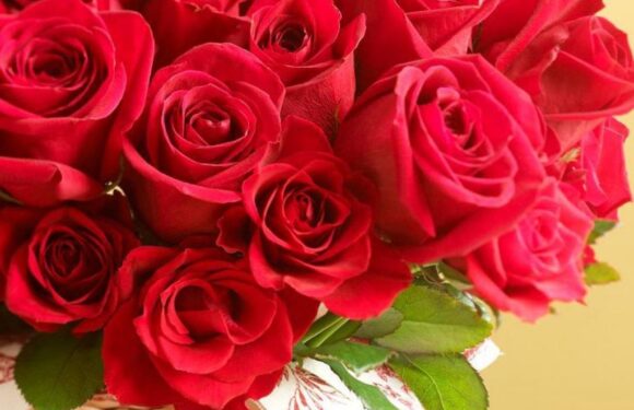 Открытки для дочери с днем рождения