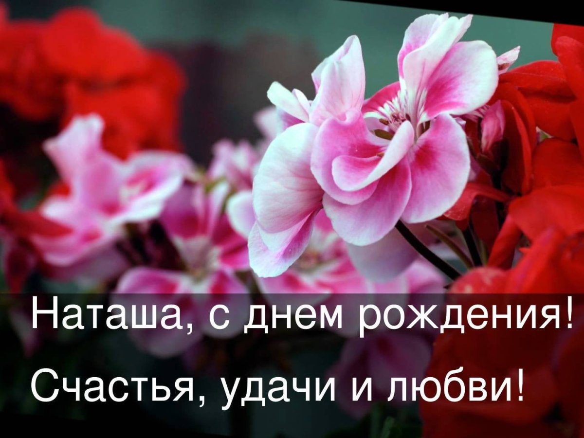 С днем рождения Наташа - прикольные открытки 16 открытки