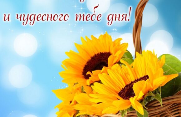 Подборка открыток — с добрым днем