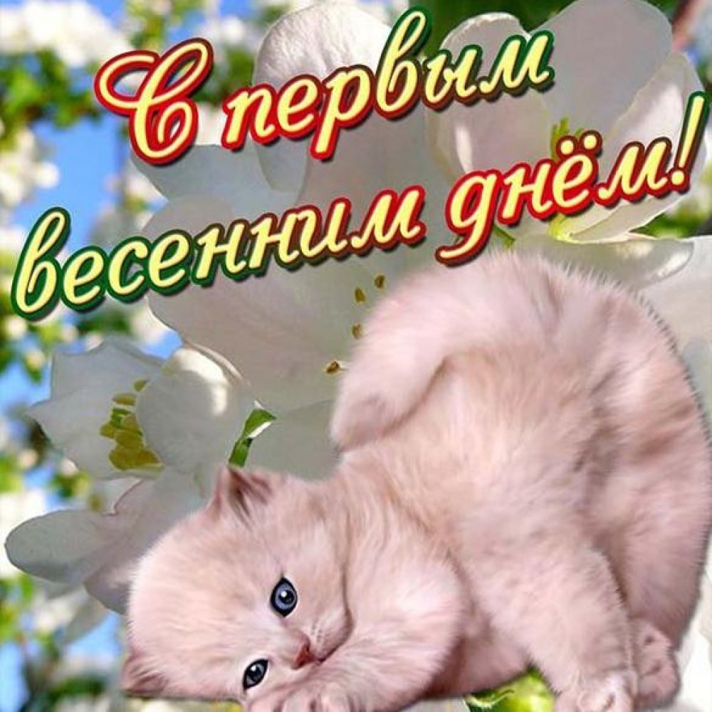 Поздравления с первым днем весны - подборка открыток 2 открытки