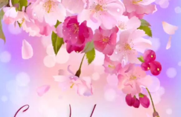 Поздравления с праздником весны — подборка открыток