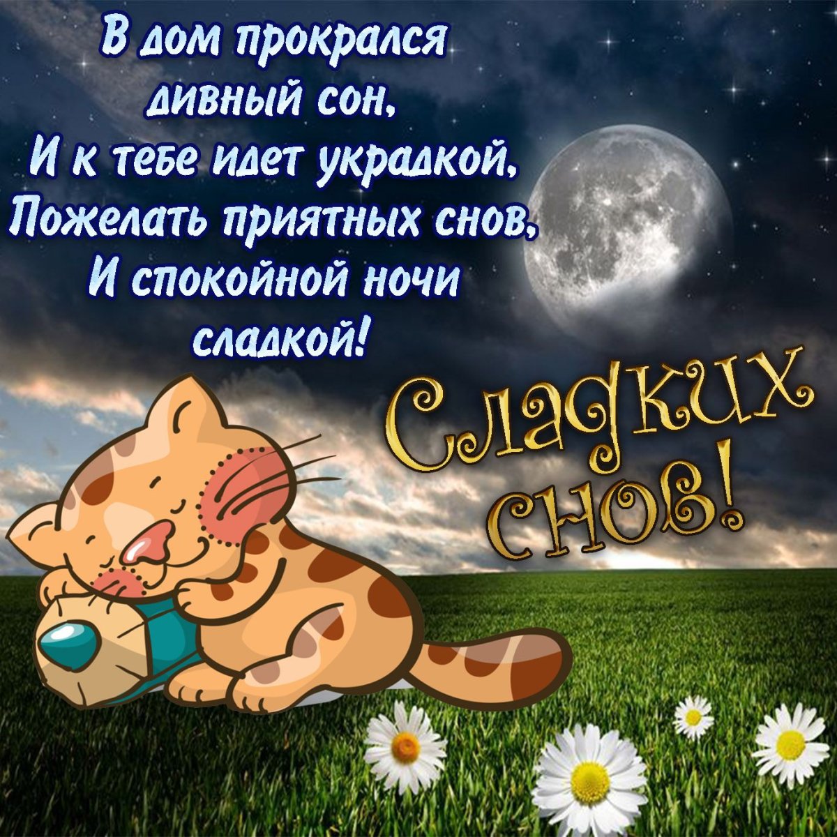 Открытки - пожелание спокойной ночи для мужчины 11 открытки