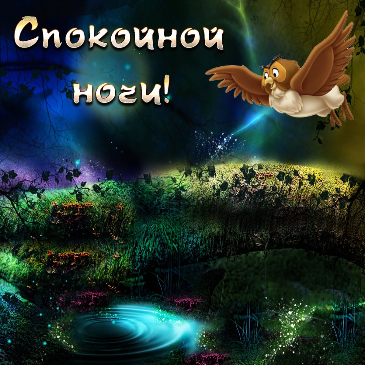 Прикольные открытки спокойной ночи с природой 4 открытки