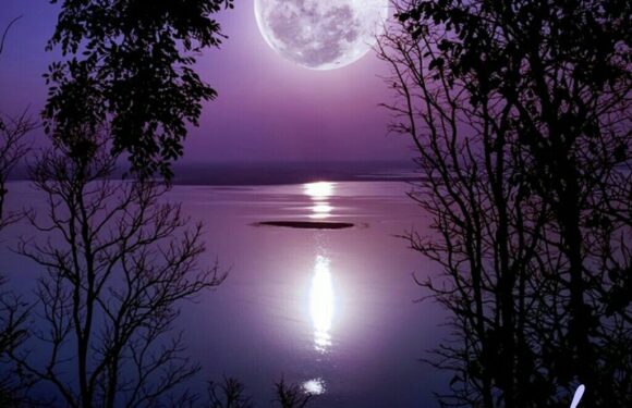 Прикольные открытки спокойной ночи с природой