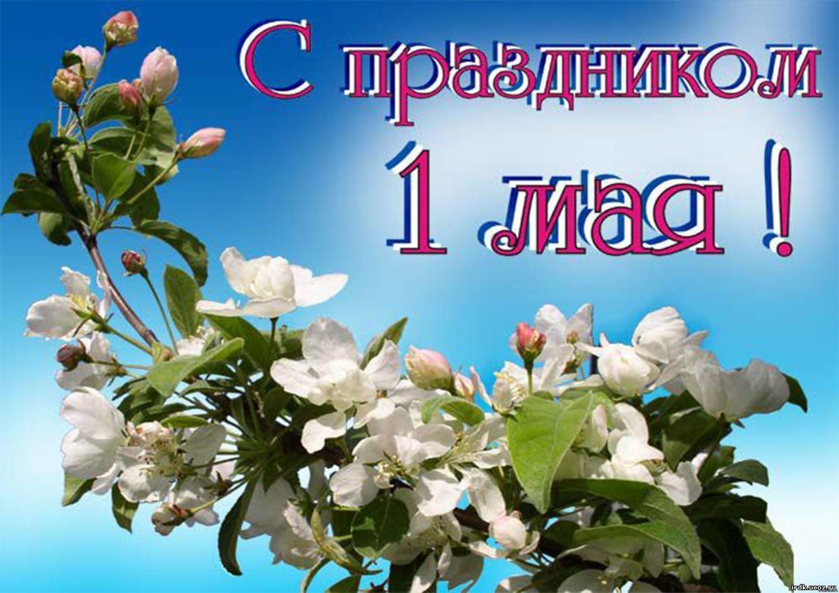Поздравление с 1 мая - подборка открыток 4 открытки