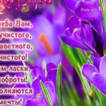 Солидные открытки с 8 марта женщинам 22 Наталья Красавина
