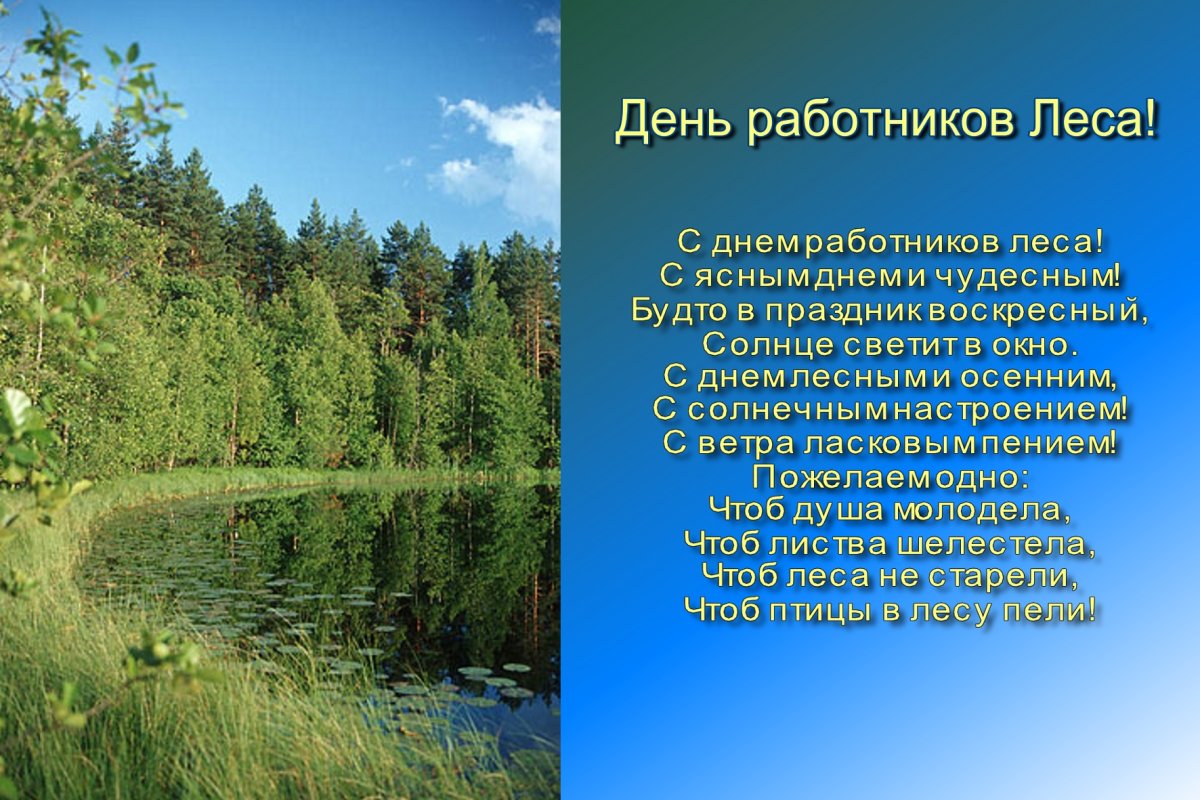 С днем лесника - прикольные открытки 2 открытки