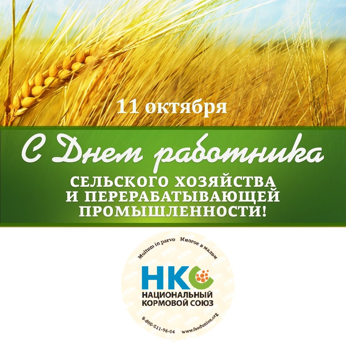 С днем работника сельского хозяйства - поздравительные открытки 18 открытки