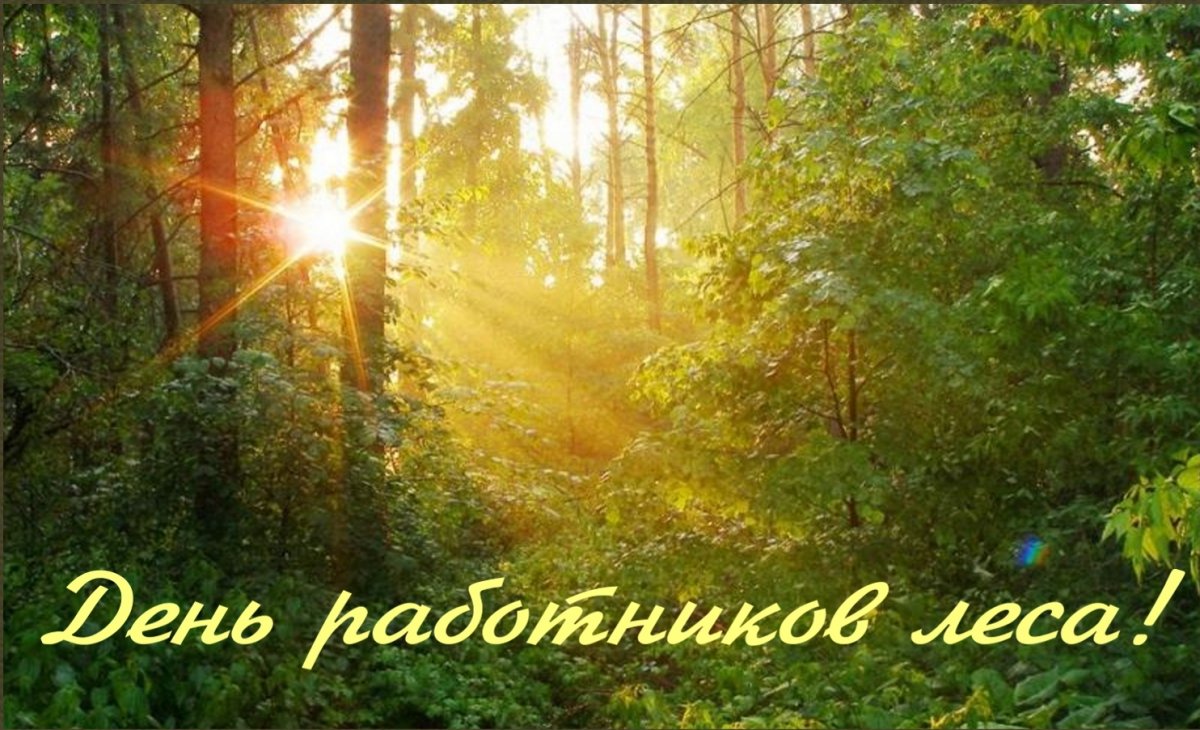 С днем работников леса - прикольные открытки 17 открытки